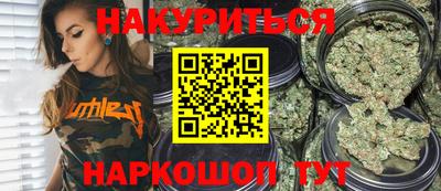 прущие грибы Будённовск