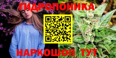 прущие грибы Будённовск