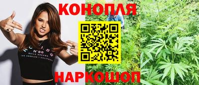 прущие грибы Будённовск