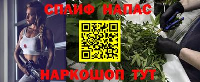 прущие грибы Будённовск
