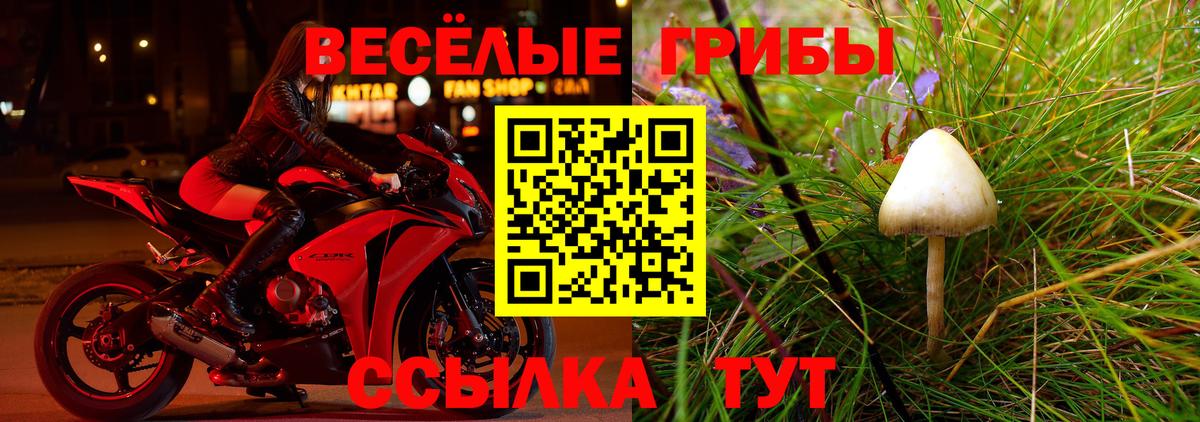 Псилоцибиновые грибы Cubensis Соль-Илецк