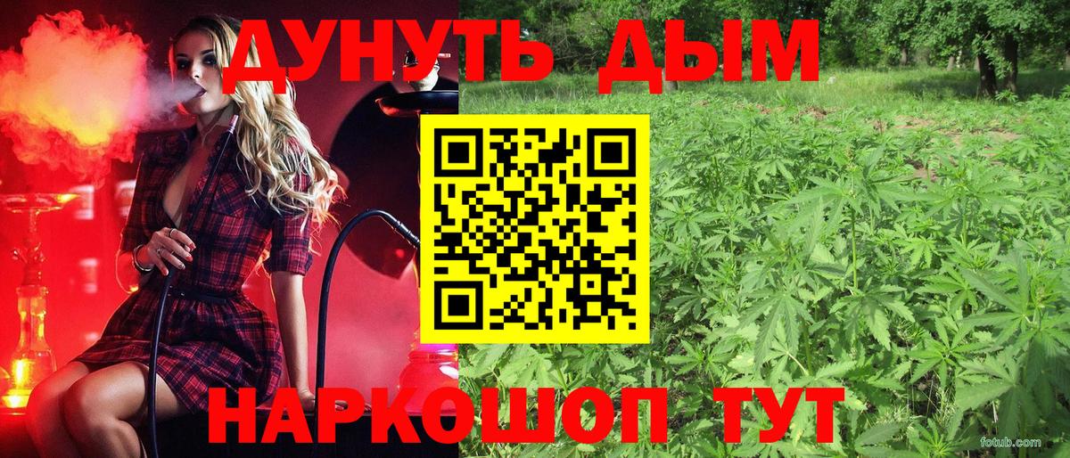 Каннабис планчик Соль-Илецк